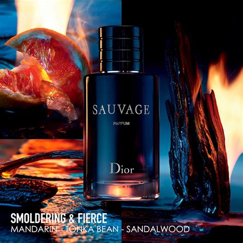 profumo dior sauvage donna|sephora sauvage perfume.